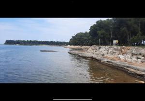 Apartman SIJA Novigrad 