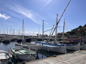 Appartements Appartement Cavalaire-sur-Mer, 1 piece, 4 personnes - FR-1-226B-116 : photos des chambres