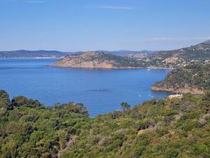 Appartements Charmant studio climatise en rez-de-jardin, proche plage, avec garage prive a Cavalaire-sur-Mer - FR-1-226B-116 : photos des chambres