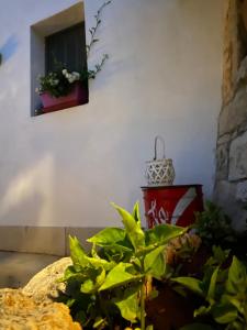 Family Room with Bathroom room in B&B Terre di Kalia