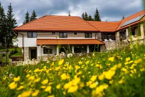 Pensiunea Romconcord