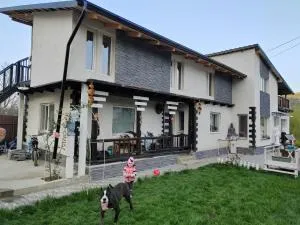 “ Casa SARYL “ Târgu Ocna - Oituz