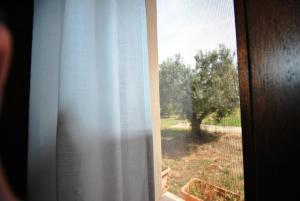 Agriturismo Masseria Baronali