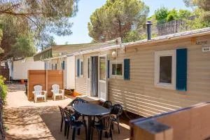 El Carlitos - Arenys de Mar