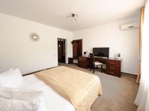 Double Room room in Complex Turistic Darina Sancraiu de Mures