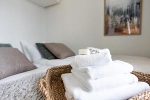 Arctic Taiga Penthouse City Suite