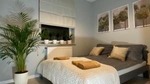 Apartament Plaza Park