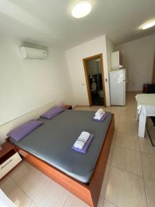 Villa Popic