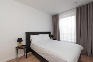 Brand New and Modern 1BDR Apartment