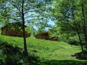Wood Cabins in the heart of Transylvania - Colţeşti