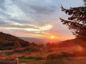 Auberges Le Chalet des Gentianes : photos des chambres