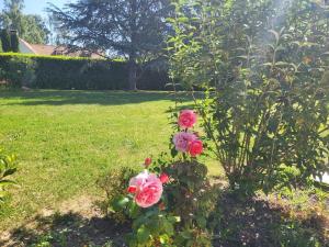 Maisons de vacances Golf House in Paris : photos des chambres