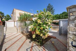 Casa Vacanza Azzurra 3