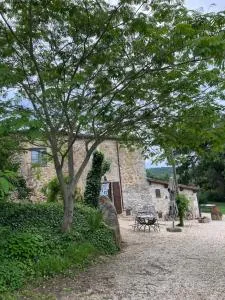 Agriturismo San Pietro - Bagno Vignoni