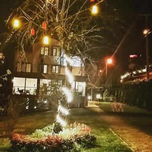 SNOW HİLL HOUSE Pansiyon