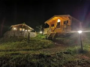 Woolcombe Cabin - Halwell