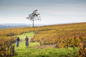 Campings Huttopia Meursault : photos des chambres