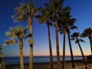 Puerto AZUL Estepona