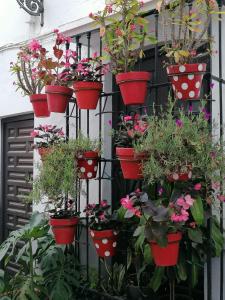 Puerto AZUL Estepona