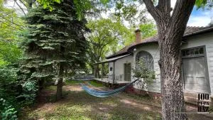 100 éves ház - Füle