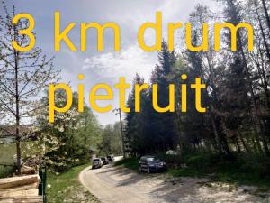 Poiana Sașilor - Valea Doftanei