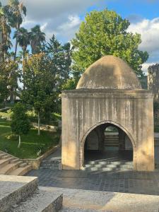 Estudio TAU