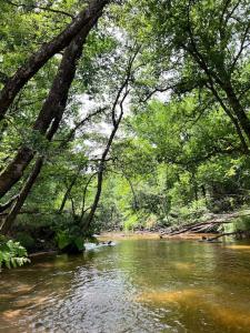 Villas Le Moulin d'Hourtoy entre foret et rivieres : photos des chambres