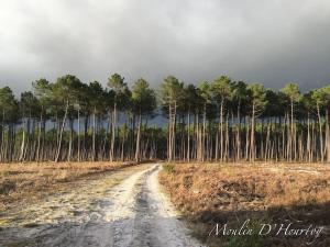 Villas Le Moulin d'Hourtoy entre foret et rivieres : photos des chambres