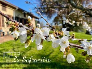 Maisons de vacances La Safraniere : photos des chambres