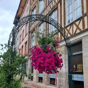 Appartements Le Romantique jacuzzi centre ville : photos des chambres