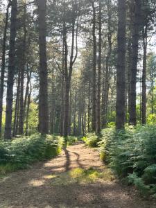 Keepers Cabin - Hot tub
