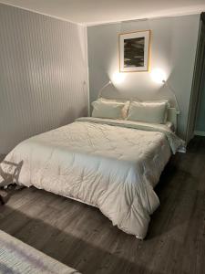 Mid-Century DJs Dream near Rhinebeck