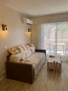 PWS Cosy 1 bed in Golfe Juan - tennis pool & beach