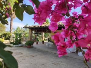 Dimora Virone Paradiso