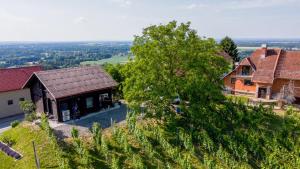 Apartma med vinogradi