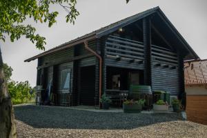 Apartma med vinogradi