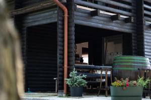 Apartma med vinogradi 