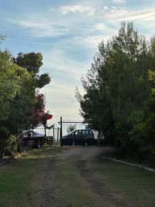 Apartment Kune, Shëngjin 2