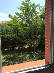 Appartements Appartement Toulouse Jardin St Martin : photos des chambres