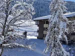 Chalets Chalet LA SOURCE : photos des chambres