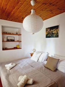 Apartment Monte Rosa