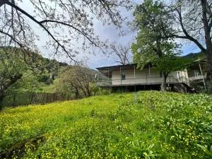 Utsera Veranda - Kussu