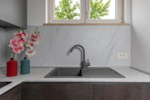 Apartment Dolly completely renovated 2023