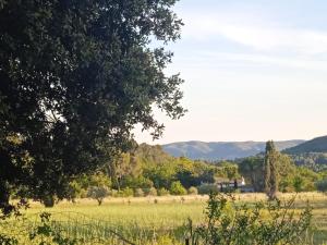 Maisons de vacances maison de campagne proche lourmarin : photos des chambres