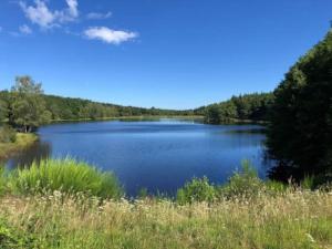 Maisons de vacances Maison Nature Golf Ocean Moliets et Maa Landes : photos des chambres