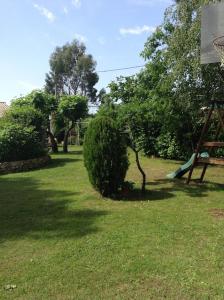 Villas Villa au milieu des pins climatisee : photos des chambres