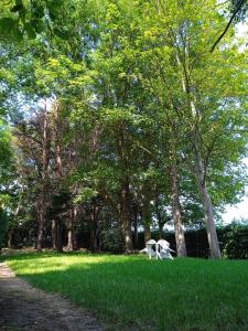 Maisons de vacances le bien l'authie : photos des chambres