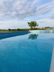 Maisons de vacances « La Crecerelle » spacieux gite contemporain entre Tarn et Aveyron : photos des chambres