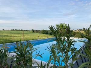 Maisons de vacances « La Crecerelle » spacieux gite contemporain entre Tarn et Aveyron : photos des chambres