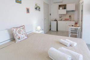 Studio with Terrace